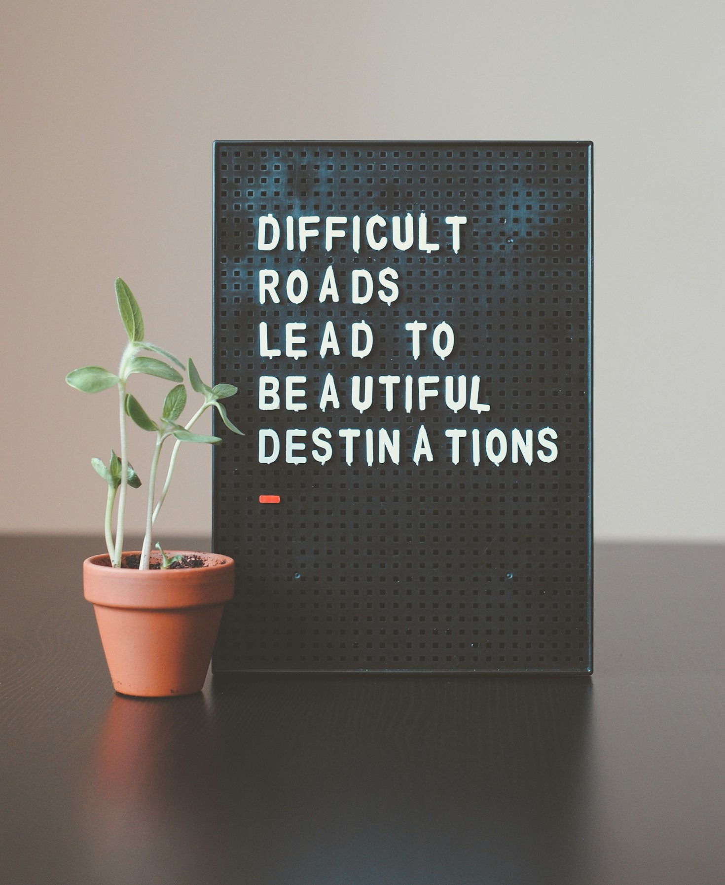 Recognizing Opportunities to Transform Your Life